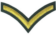 1 Stripe Chevron Badge Gold Bullion on Green