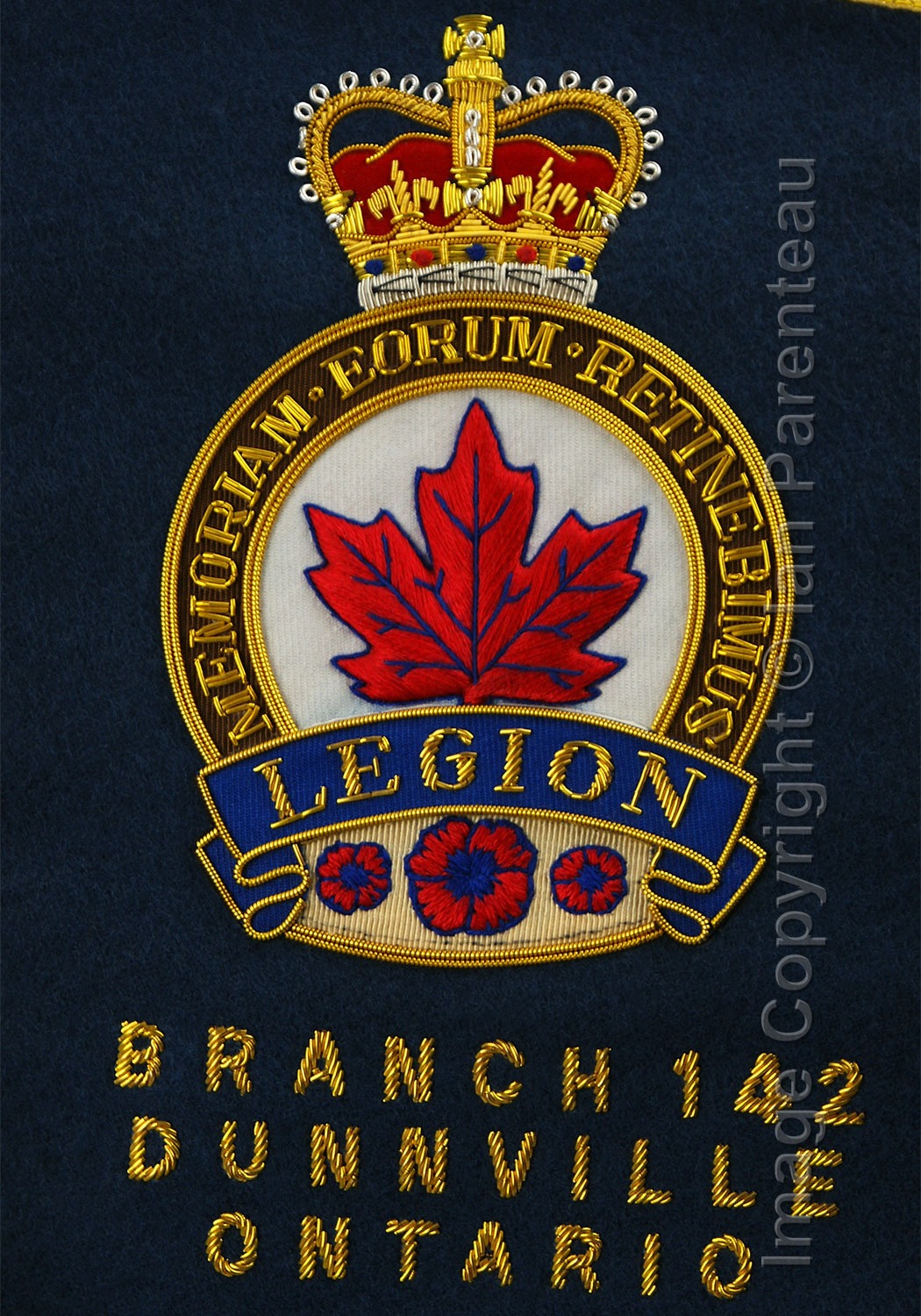 Custom Made Drum Major Baldric Sashes - Image 3